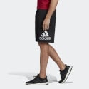adidas Men's Shorts
