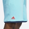 adidas Dame Men's Shorts