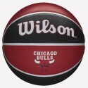 Wilson NΒΑ Team Tribute Chicago Bulls Basketball