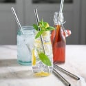 Healthy Human 5 Piece Straw Set