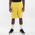 Nike Dri-FIT 10In  Men's Shorts