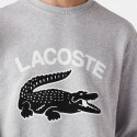 Lacoste Men's Sweatshirt