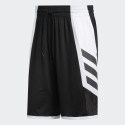 adidas Performance Pro Madness Shorts