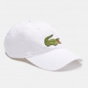 Lacoste Hat