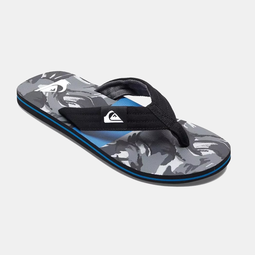 Quiksilver Molokai Layback Men's Flip-Fliops