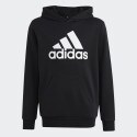 adidas Big Logo Essentials Cotton Hoodie