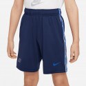 Nike Sportswear Repeat Poly Knit Kids' Shorts
