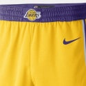 Nike Los Angeles Lakers Icon Edition Swingman Shor