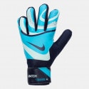Nike Nk Gk Match - Ho23