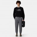 The North Face M Drew Peak Pant Tnfmedi