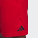 adidas Bos Short