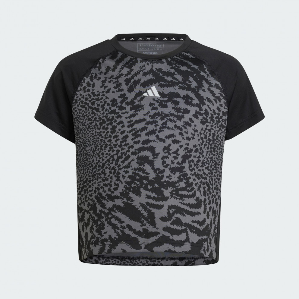 adidas Jg Pri Tee