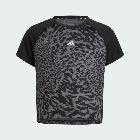 adidas Jg Pri Tee