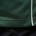Nike NBA Giannis Antetokounmpo Milwaukee Bucks Icon Edition 2022/23 Swingman Dri-FIT Basketball Jersey