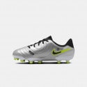 Nike Jr Legend 10 Academy Fg/Mg