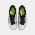 Nike Jr Legend 10 Academy Fg/Mg