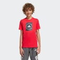 adidas-sportswear-b-camo-box