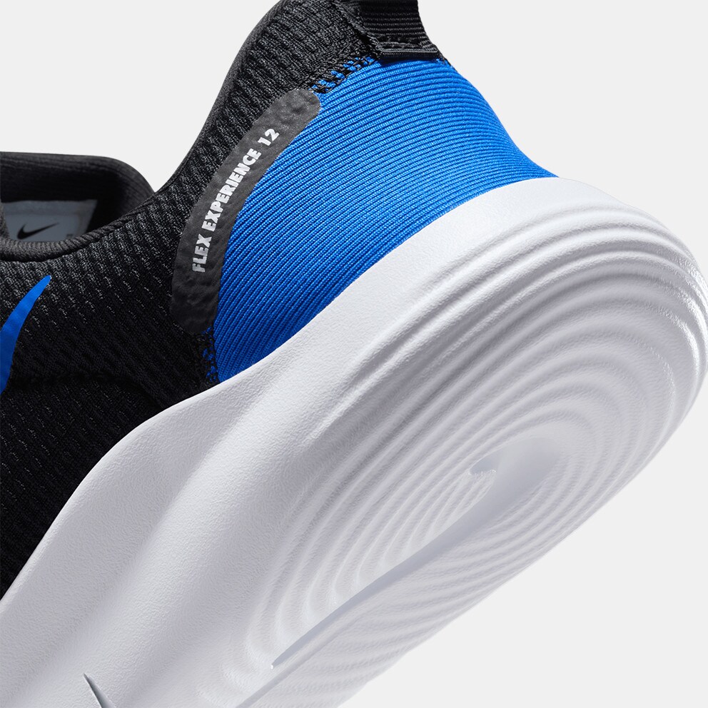 Nike Flex Experience Run 12 Ανδρικά Παπούτσια για Τρέξιμο