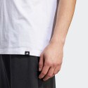 adidas Sportswear Men's T-Shirt