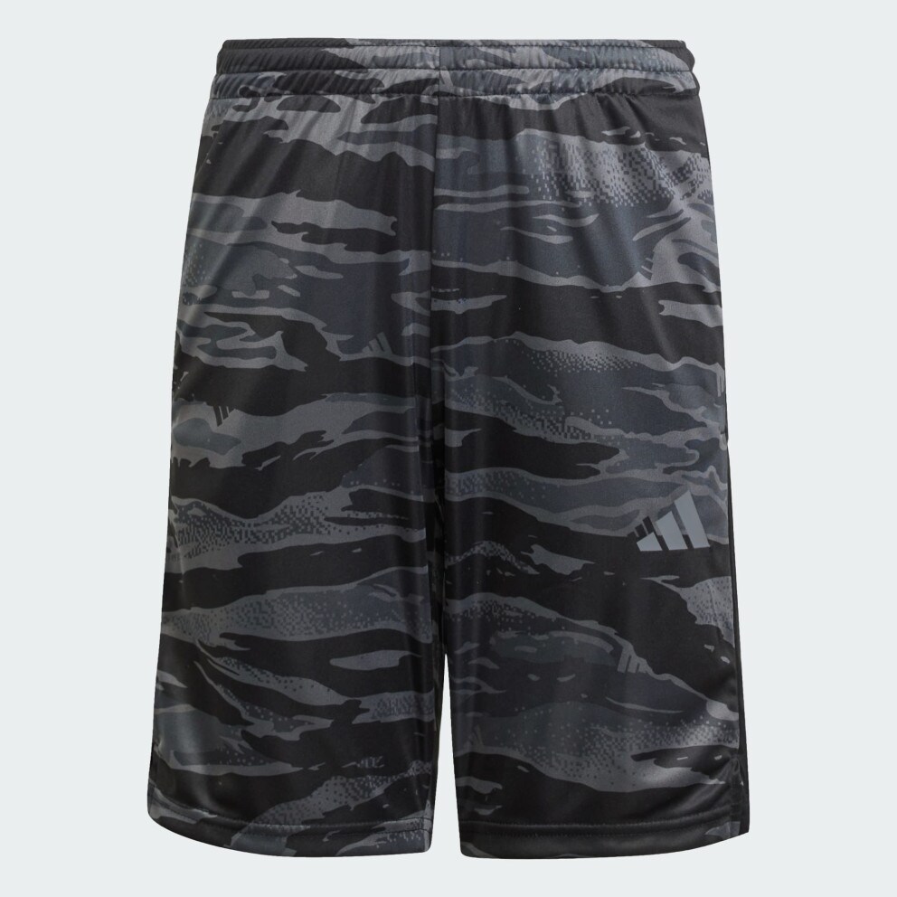 adidas sportswear J Tr-Es Cam Sho