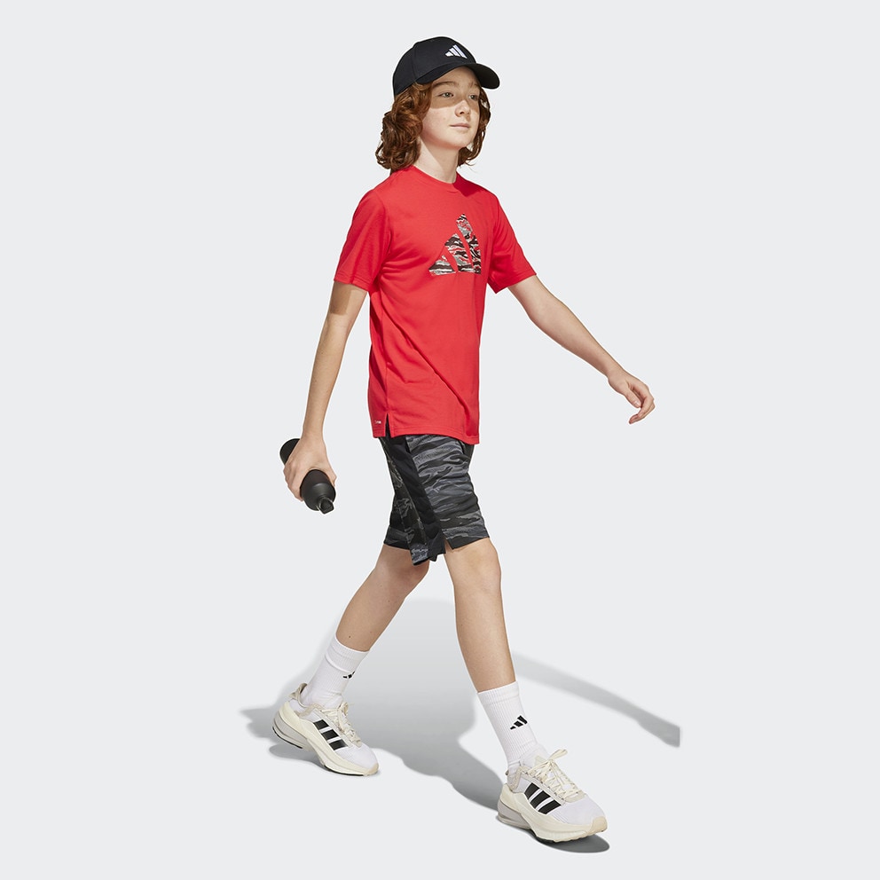 adidas sportswear J  Tr-Es Cam Te