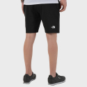 The North Face Graphic Men's Shorts